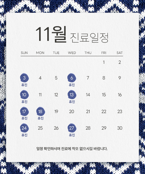 11월 진료안내