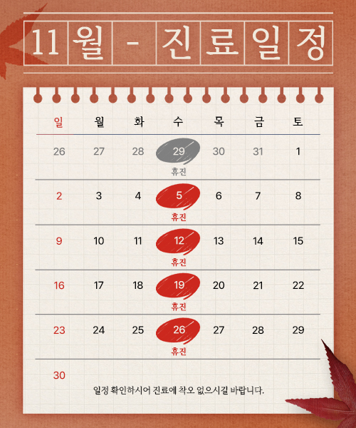 2025년11월 진료일정